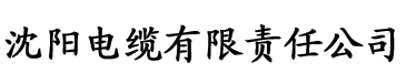 创世中文网电缆厂logo